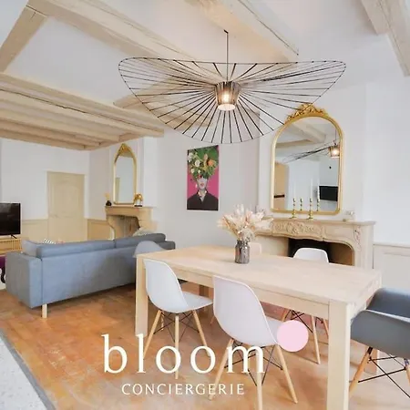 Centre Entierement Renove Appartement *