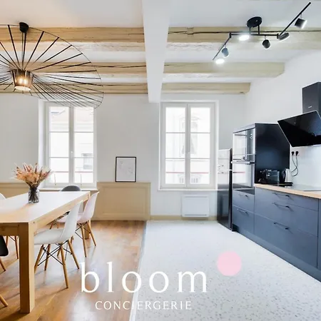 Lägenhet Centre Entierement Renove Nancy