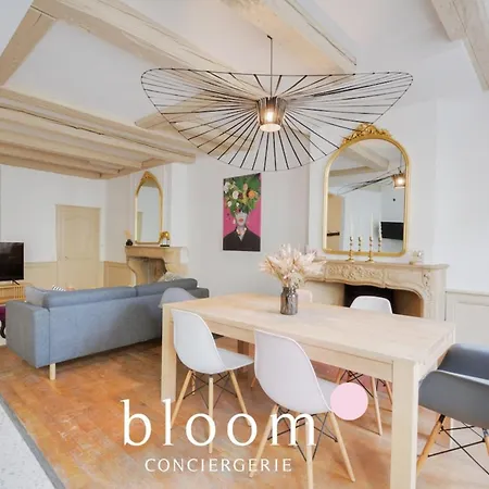 Centre Entierement Renove Апартаменты Нанси