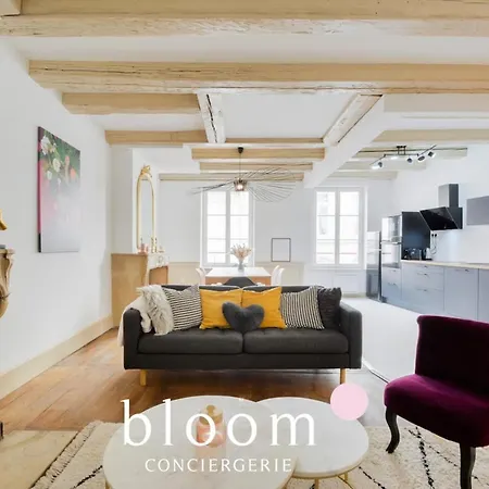 Centre Entierement Renove Lägenhet