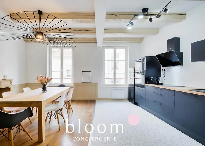 Lägenhet Centre Entierement Renove Nancy