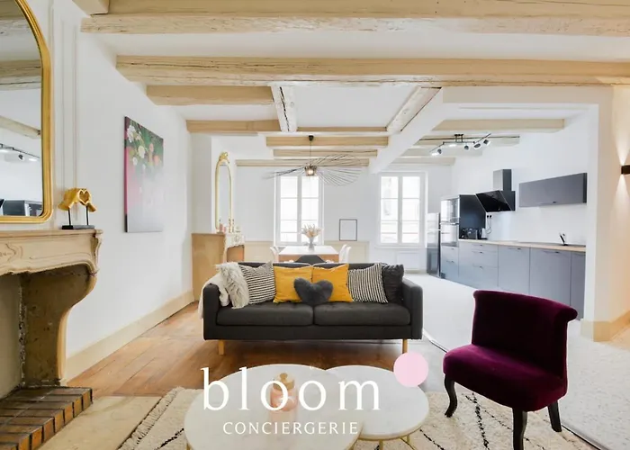 Centre Entierement Renove Lägenhet