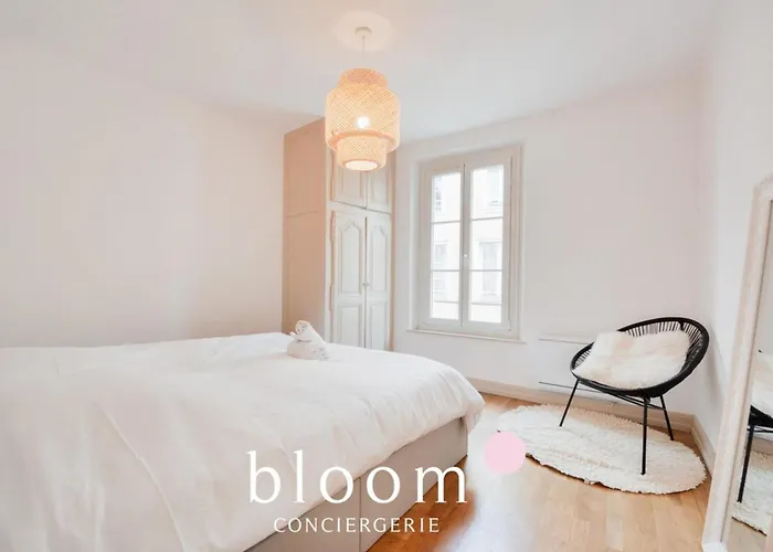 Centre Entierement Renove Lägenhet *